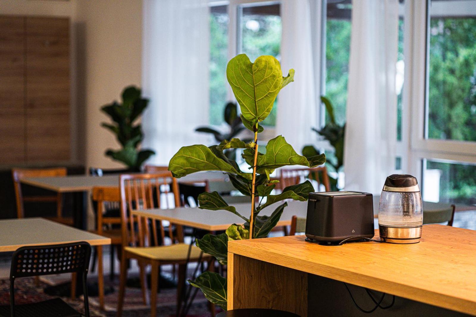 Dream Factory Melk - Green Hostel Екстериор снимка